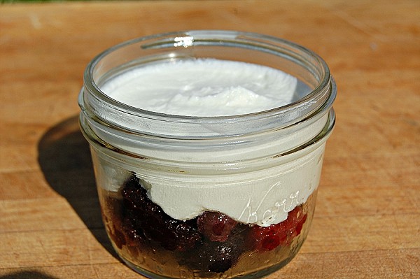 Copycat Starbucks Greek Yogurt Parfait