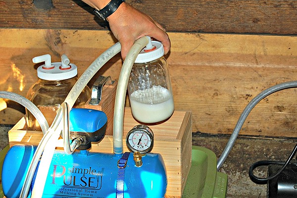 Simple PULSE Professional Home Milking System