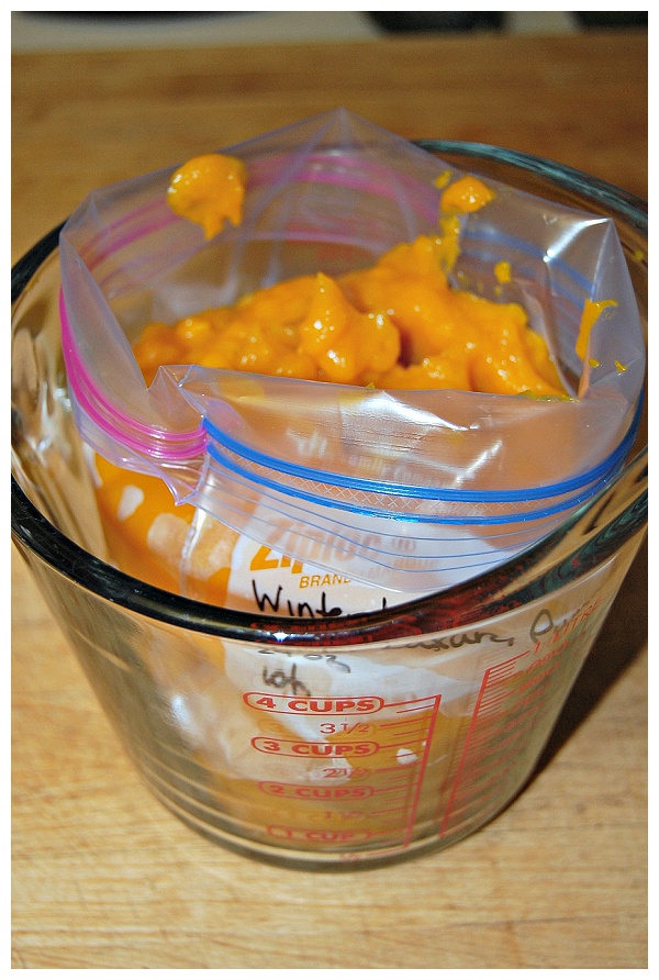 Packaging homemade pumpkin puree 2