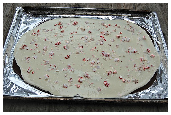 ark and White Chocolate Peppermint Bark 