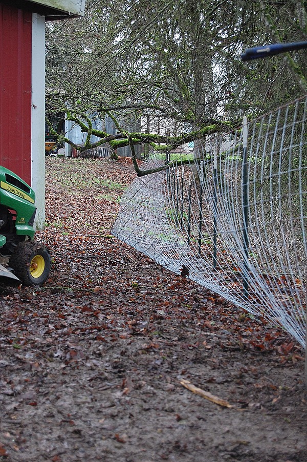 Family Fencing Project