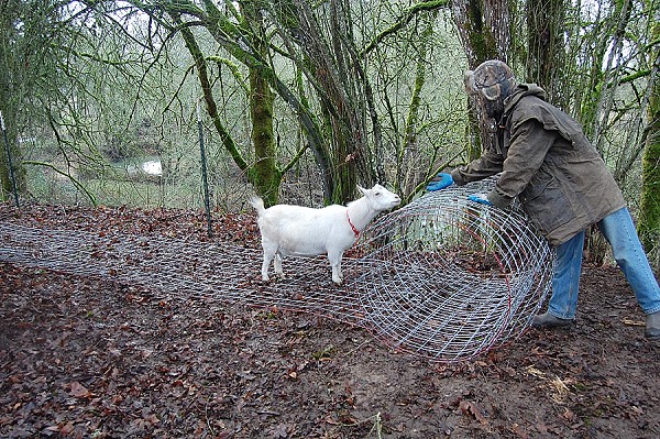Family Fencing Project