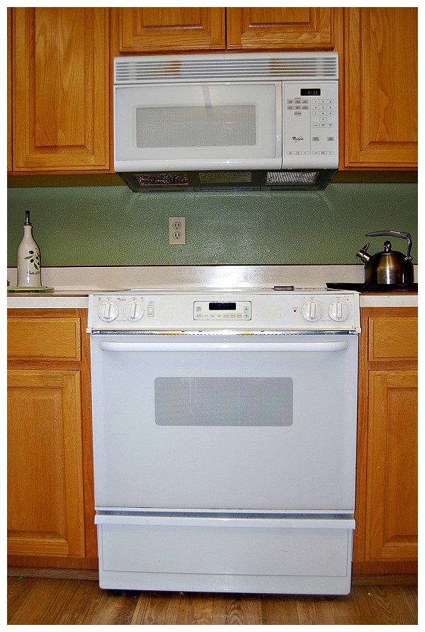 Electric Stove and Microwave