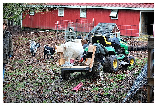 Welding a New Trailer