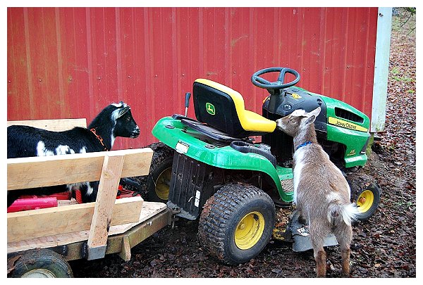 Welding a New Trailer