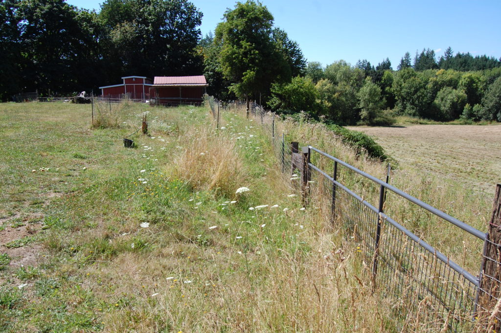 Upper Pasture on left; Hillside and Lower Pasture on right.