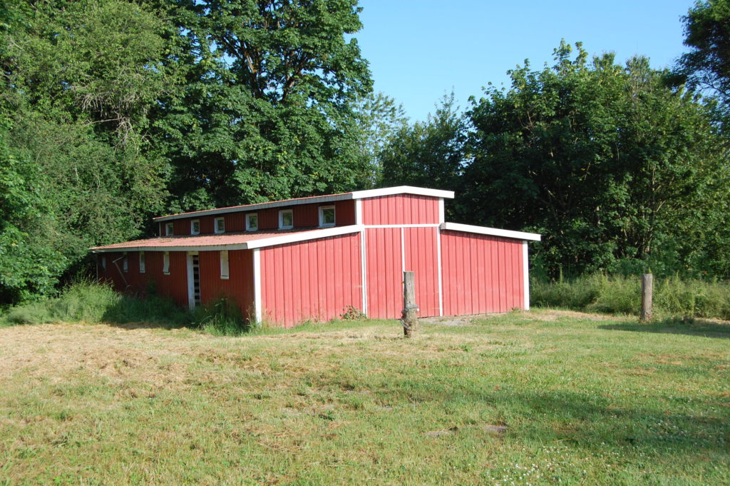 Salt Creek Acres Barn