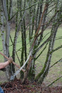 Family Fencing Project