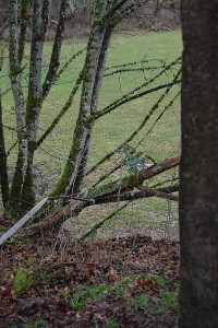 Family Fencing Project