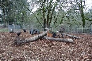Family Fencing Project