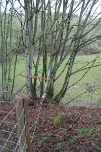 Family Fencing Project