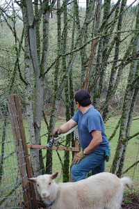 Family Fencing Project