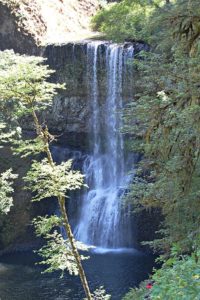 Silver Falls State Park Hike