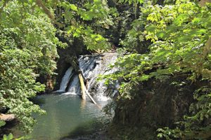 Silver Falls State Park Hike