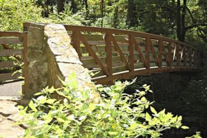 Silver Falls State Park Hike