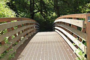 Silver Falls State Park Hike