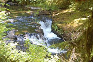 Silver Falls State Park Hike