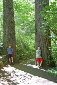 Silver Falls State Park Hike