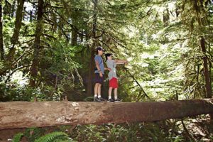 Silver Falls State Park Hike