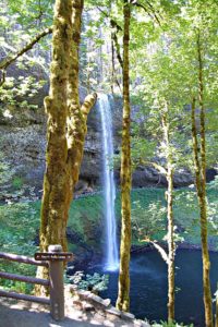 Silver Falls State Park Hike