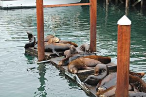 south beach state park newport